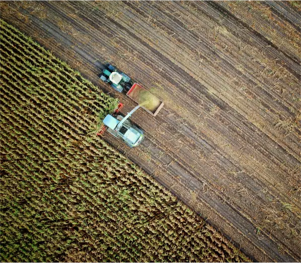 Vibrant fields of Agriculture: Harvesting modern techniques amidst green landscapes.